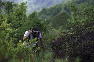 BIB: 
                            <button type="button" onclick="openModal(24763967)" class="btn btn-primary btn-sm float-right btn-popup" data-toggle="modal" data-target=".modal-high-quality">
                        <i class="fas fa-shopping-cart"></i> Add to Cart
                    </button>
                                            <button type="button" onclick="isThisMe(24763967, true)" class="btn btn-success btn-sm float-right btn-popup btn-isme hidden" data-toggle="tooltip" data-placement="bottom" title="นี่คือรูปของคุณใช่ไหม คลิกที่นี่เพื่อเอาเข้าอัลบั้ม">
                        <i class="fas fa-plus"></i> Add to album
                    </button>
                    <button type="button" onclick="isThisMe(24763967, false)" class="btn btn-warning btn-sm float-right btn-popup btn-isnotme hidden">
                        <i class="fas fa-ban"></i> Remove from album
                    </button>